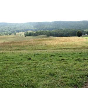 Photo #1 of TBD MILL GAP RD, MONTEREY, VA 24.9 acres