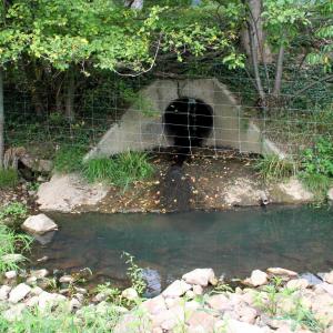 Photo #5 of TBD MILL GAP RD, MONTEREY, VA 24.9 acres