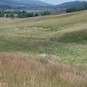 Photo #10 of TBD MILL GAP RD, MONTEREY, VA 24.9 acres