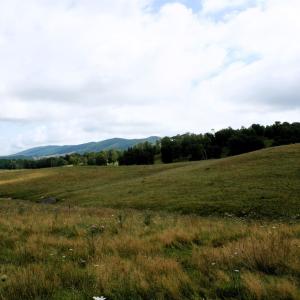 Photo #2 of TBD MILL GAP RD, MONTEREY, VA 24.9 acres
