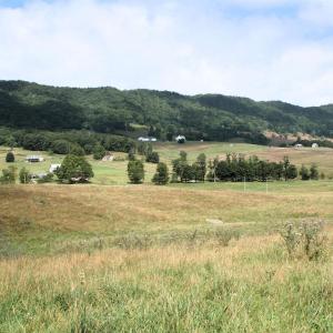 Photo #19 of TBD MILL GAP RD, MONTEREY, VA 24.9 acres