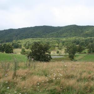 Photo #7 of TBD MILL GAP RD, MONTEREY, VA 24.9 acres