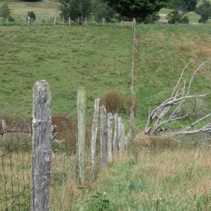 Photo #18 of TBD MILL GAP RD, MONTEREY, VA 24.9 acres