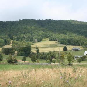 Photo #17 of TBD MILL GAP RD, MONTEREY, VA 24.9 acres
