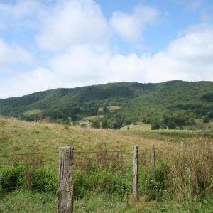 Photo #4 of TBD MILL GAP RD, MONTEREY, VA 23.9 acres