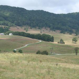 Photo #7 of TBD MILL GAP RD, MONTEREY, VA 23.9 acres