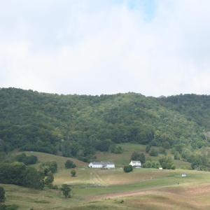 Photo #9 of TBD MILL GAP RD, MONTEREY, VA 23.9 acres