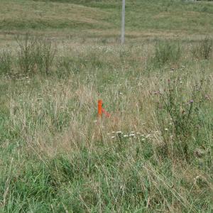 Photo #10 of TBD MILL GAP RD, MONTEREY, VA 23.9 acres