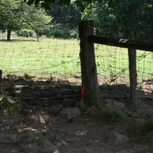 Photo #3 of TBD MILL GAP RD, MONTEREY, VA 23.9 acres