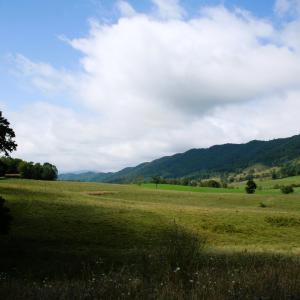 Photo #2 of TBD MILL GAP RD, MONTEREY, VA 23.9 acres