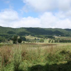 Photo #1 of TBD MILL GAP RD, MONTEREY, VA 23.9 acres
