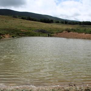 Photo #11 of TBD MILL GAP RD, MONTEREY, VA 23.9 acres