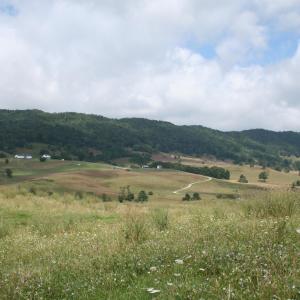 Photo #4 of TBD MILL GAP RD, MONTEREY, VA 22.1 acres