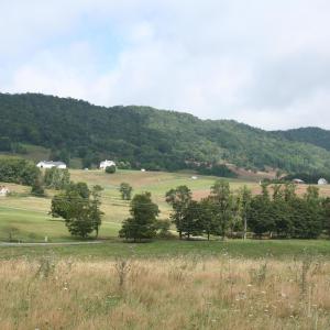 Photo #3 of TBD MILL GAP RD, MONTEREY, VA 22.1 acres