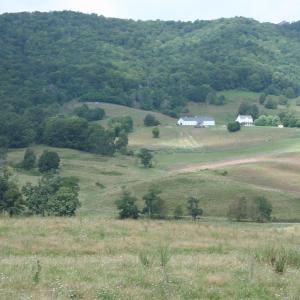 Photo #5 of TBD MILL GAP RD, MONTEREY, VA 22.1 acres