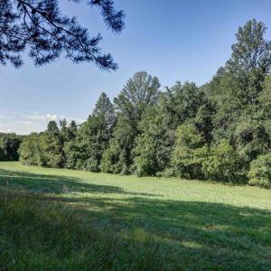 Photo #6 of LOT C LINK EVANS LN, EARLYSVILLE, VA 21.1 acres