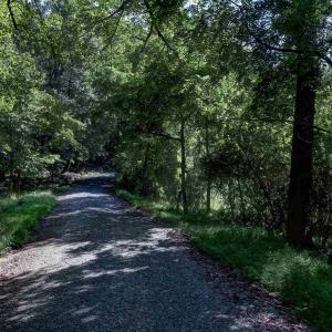 Photo #15 of LOT C LINK EVANS LN, EARLYSVILLE, VA 21.1 acres