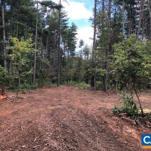 Photo #13 of LOT C LINK EVANS LN, EARLYSVILLE, VA 21.1 acres