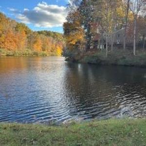 Photo #31 of MARGES MOUNTAIN LN, AMISSVILLE, VA 31.9 acres