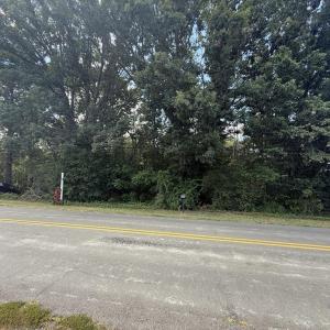 Photo #6 of TBD ROCKINGHAM PIKE, ELKTON, VA 1.0 acres