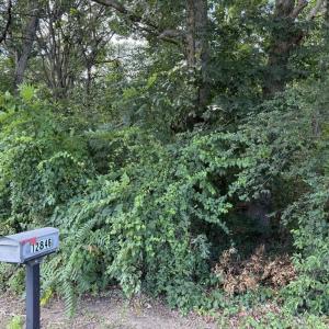Photo #4 of TBD ROCKINGHAM PIKE, ELKTON, VA 1.0 acres