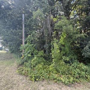 Photo #5 of TBD ROCKINGHAM PIKE, ELKTON, VA 1.0 acres