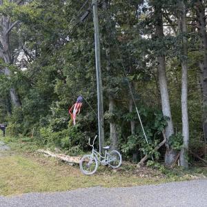 Photo #1 of TBD ROCKINGHAM PIKE, ELKTON, VA 1.0 acres