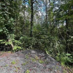 Photo #1 of TBD GREENE ACRES RD, STANARDSVILLE, VA 0.8 acres