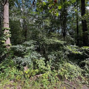 Photo #2 of TBD GREENE ACRES RD, STANARDSVILLE, VA 0.8 acres