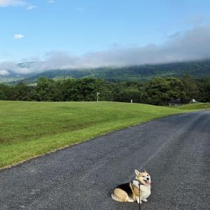 Photo #2 of 118 LEXINGTON CT, STANARDSVILLE, VA 19.4 acres