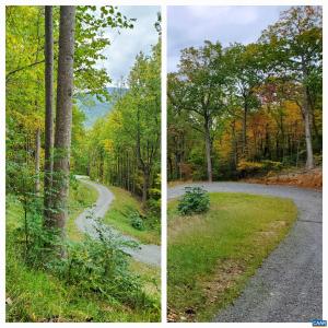 Photo #4 of 118 LEXINGTON CT, STANARDSVILLE, VA 19.4 acres