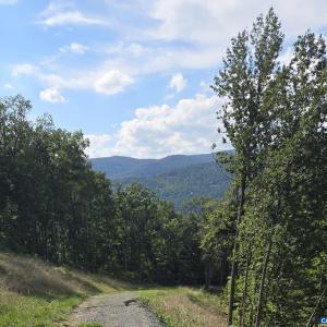 Photo #16 of 118 LEXINGTON CT, STANARDSVILLE, VA 19.4 acres