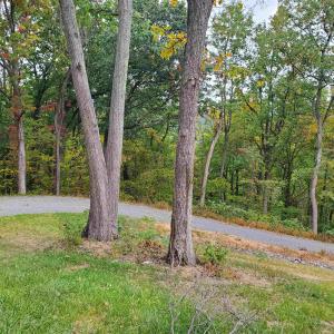 Photo #30 of 118 LEXINGTON CT, STANARDSVILLE, VA 19.4 acres