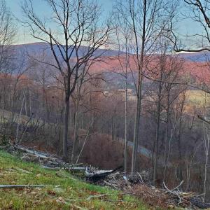 Photo #24 of 118 LEXINGTON CT, STANARDSVILLE, VA 19.4 acres