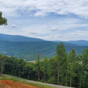 Photo #18 of 118 LEXINGTON CT, STANARDSVILLE, VA 19.4 acres