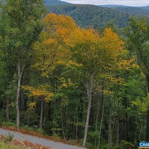 Photo #13 of 118 LEXINGTON CT, STANARDSVILLE, VA 19.4 acres