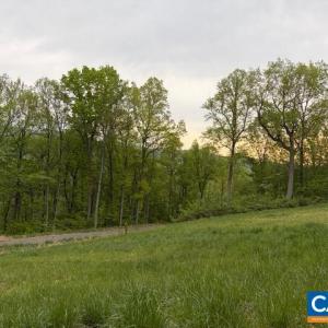 Photo #20 of 118 LEXINGTON CT, STANARDSVILLE, VA 19.4 acres