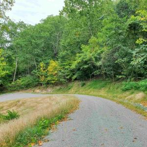 Photo #14 of 118 LEXINGTON CT, STANARDSVILLE, VA 19.4 acres