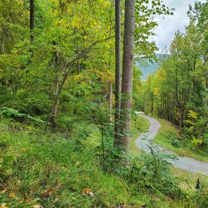 Photo #17 of 118 LEXINGTON CT, STANARDSVILLE, VA 19.4 acres