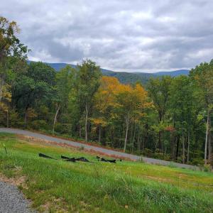 Photo #19 of 118 LEXINGTON CT, STANARDSVILLE, VA 19.4 acres