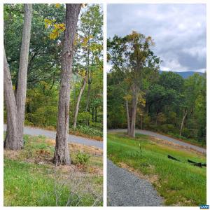 Photo #12 of 118 LEXINGTON CT, STANARDSVILLE, VA 19.4 acres