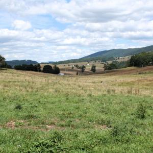 Photo #4 of TBD MILL GAP RD, MONTEREY, VA 19.5 acres