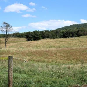 Photo #6 of TBD MILL GAP RD, MONTEREY, VA 19.5 acres