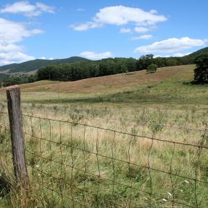Photo #1 of TBD MILL GAP RD, MONTEREY, VA 19.5 acres