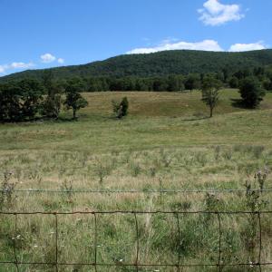 Photo #2 of TBD MILL GAP RD, MONTEREY, VA 19.5 acres
