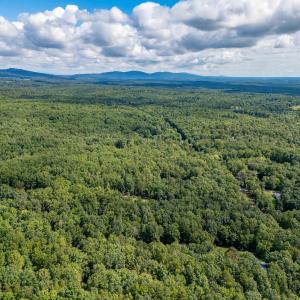 Photo #10 of TBD PRESIDENTS RD, SCOTTSVILLE, VA 19.5 acres