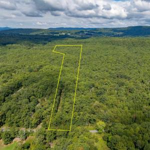 Photo #1 of TBD PRESIDENTS RD, SCOTTSVILLE, VA 19.5 acres