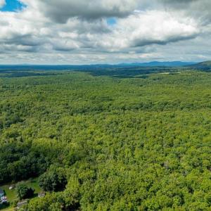 Photo #14 of TBD PRESIDENTS RD, SCOTTSVILLE, VA 19.5 acres