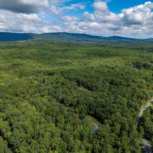 Photo #9 of TBD PRESIDENTS RD, SCOTTSVILLE, VA 19.5 acres