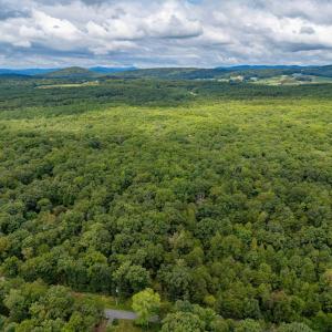 Photo #2 of 19.54 AC PRESIDENTS RD, SCOTTSVILLE, VA 19.5 acres